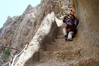 Dezpart steps