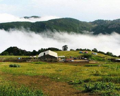 abr jungle accommodation