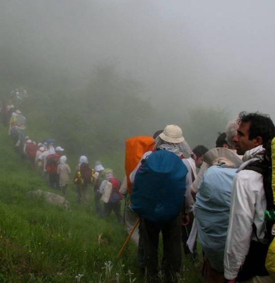 shahrood abr jungle