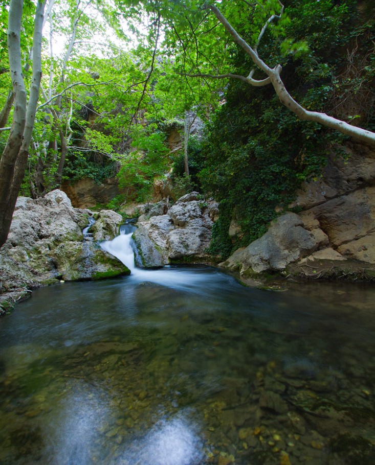 Lost paradise